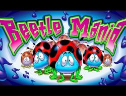 Beetle mania